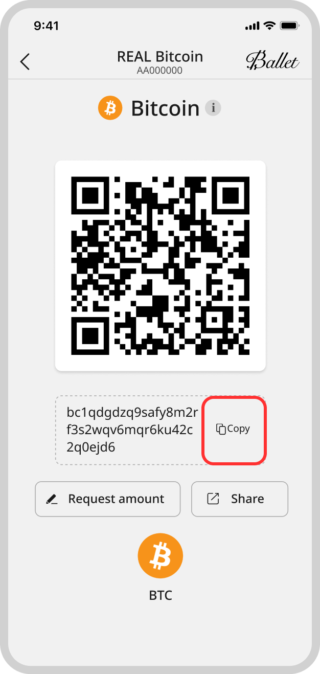 Import Crypto Assets from Ledger – Ballet