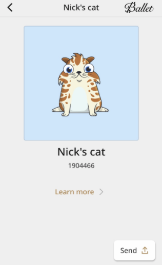nicks_cat.PNG
